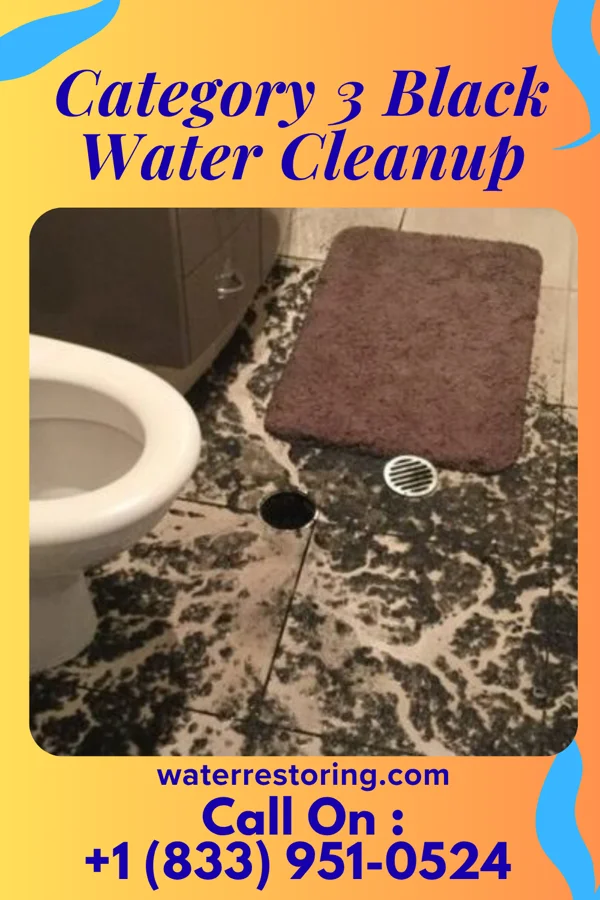 Category 3 Black Water Cleanup in Holland, IN