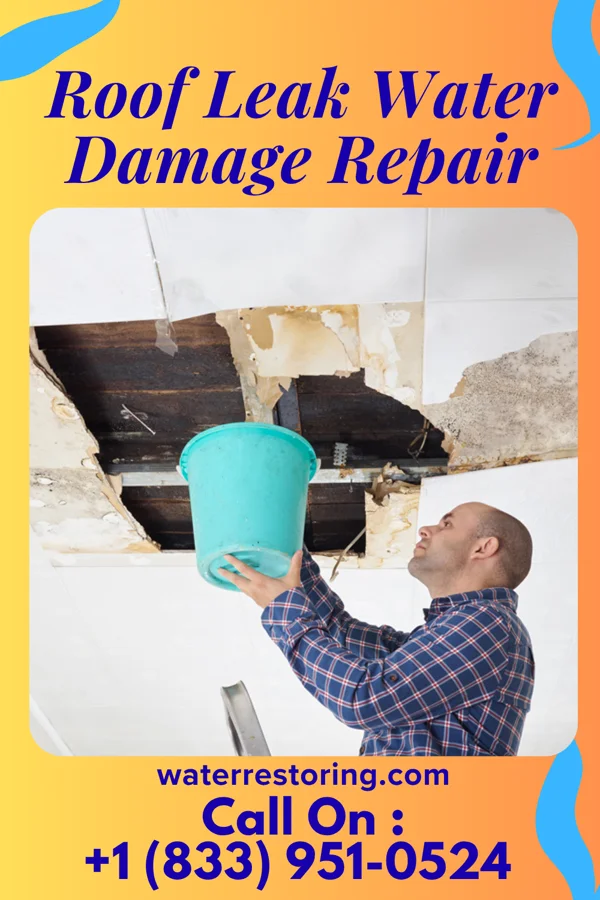 Roof Leak Water Damage Repair in Holland, IN