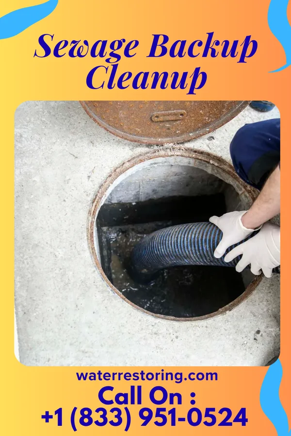 Sewage Backup Cleanup in Holland, IN